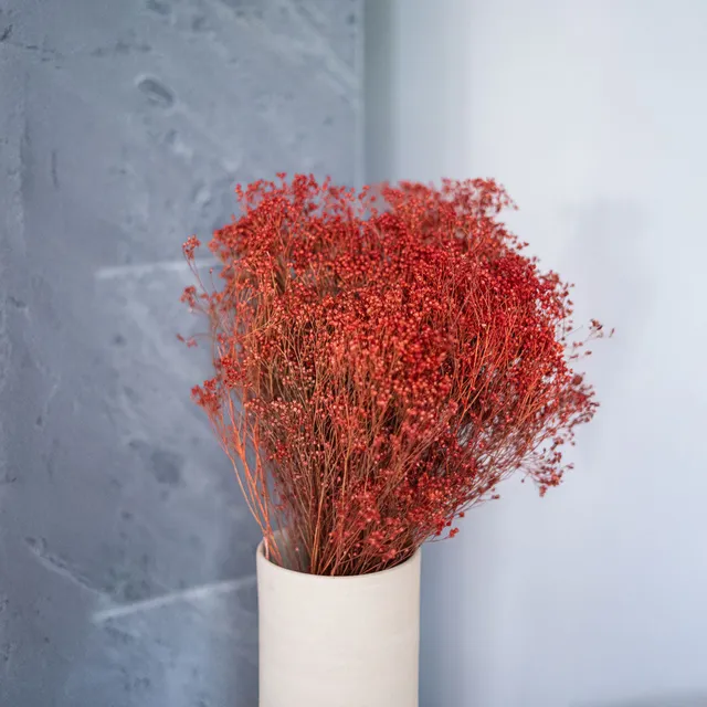 Flowrette Fleurs Séchées Botte Broom Bloom x1 rouille