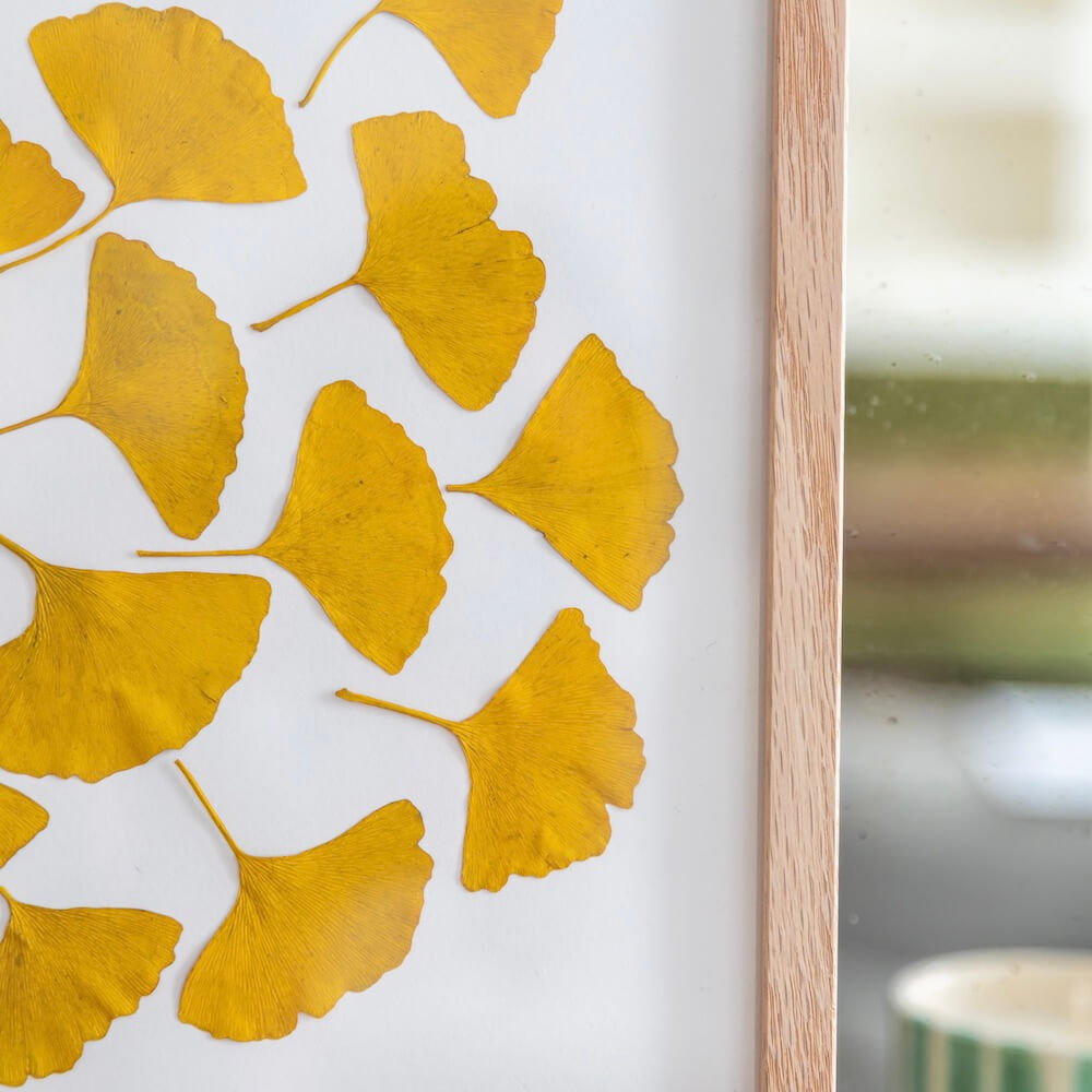 Flowrette Farandole de Ginkgo herbier fleurs séchées A4 jaune