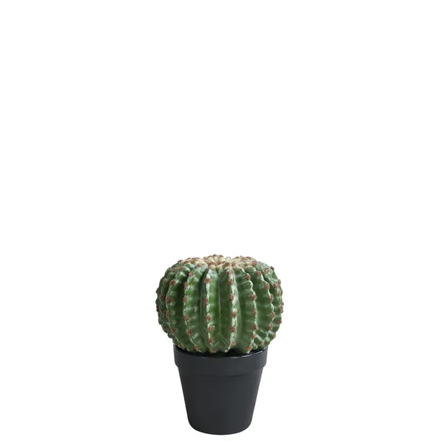 Sia Home Cactus Rond 22 cm plante artificielle verte en pot
