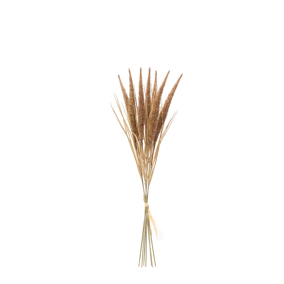 Sia Home bouquet pampa artificiel marron 50 cm