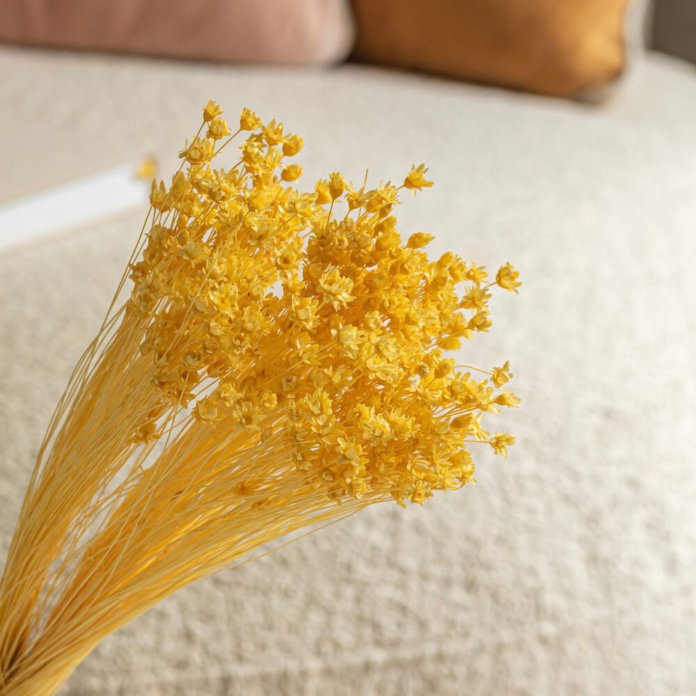Flowrette Glixia jaune clair botte fleurs séchées x1