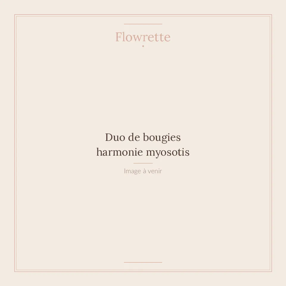 Flowrette Harmonie duo bougies myosotis grès
