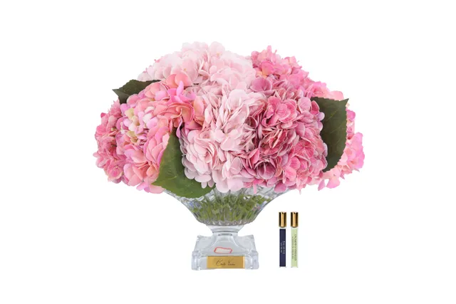 Côte Noire Hydrangeas BCH02 hortensia rose vase bordeaux