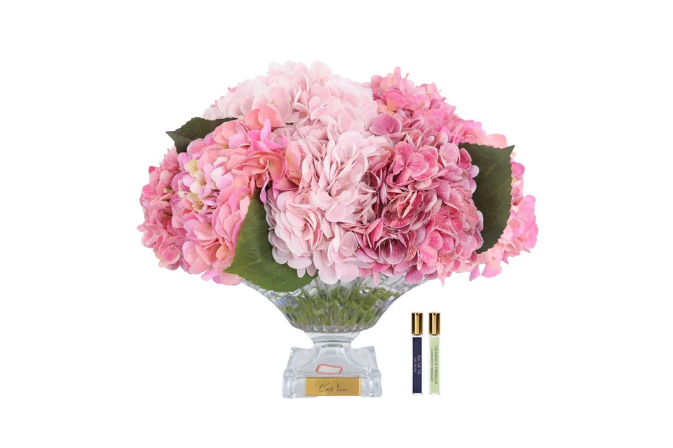 Côte Noire Hydrangeas BCH02 hortensia rose vase bordeaux