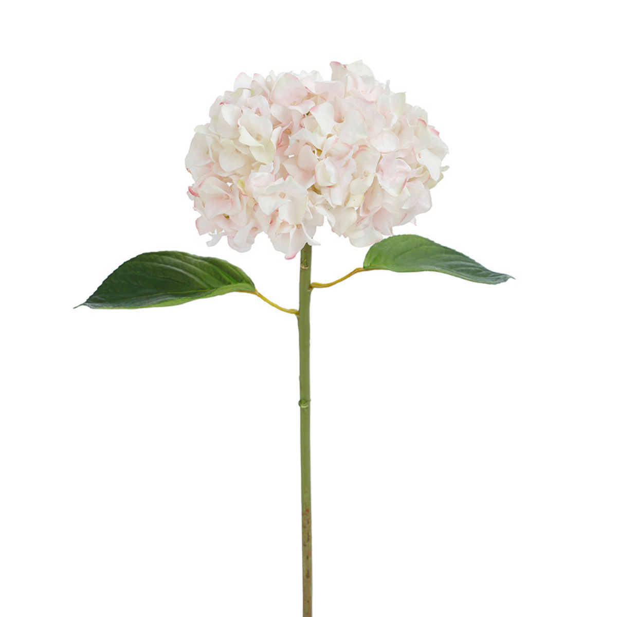 Sia Home Hortensia Premium 45 cm tige blanc et rose