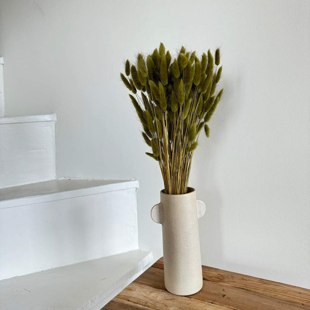 Flowrette botte lagurus vert olive séché x1