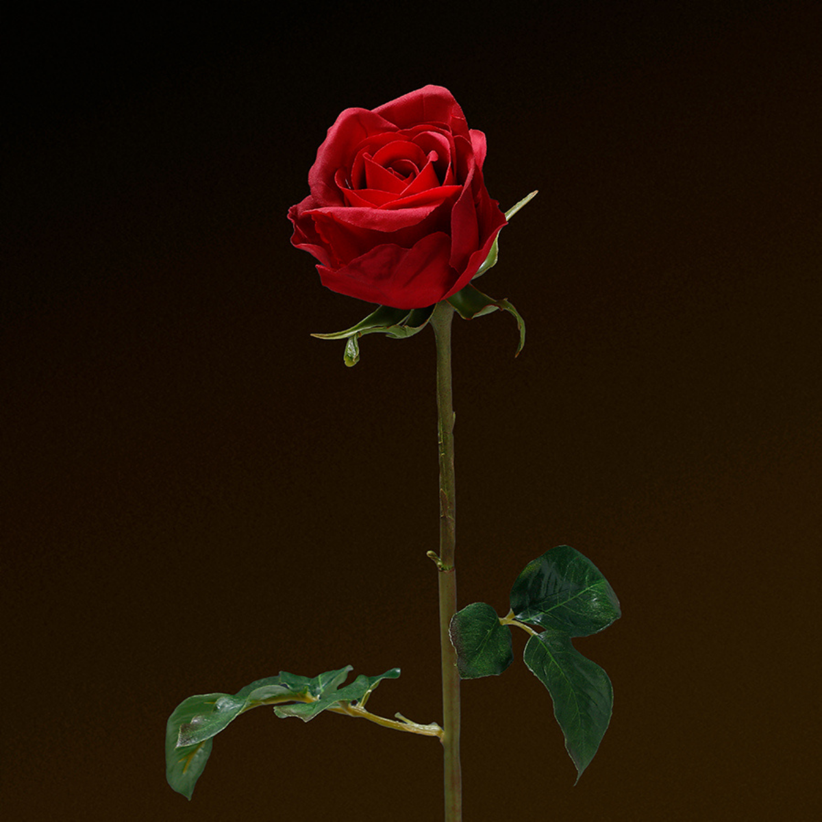 Sia Home Dutchess tige rose 50 cm rouge premium