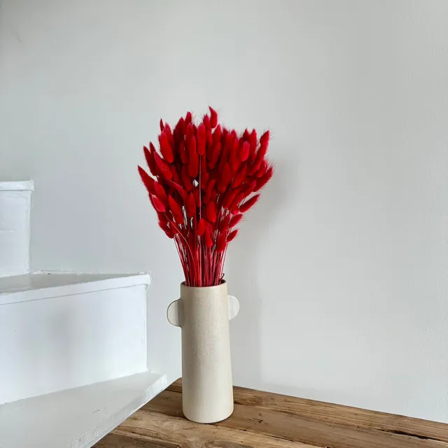 Flowrette Botte Lagurus Rouge fleurs séchées rouge x1