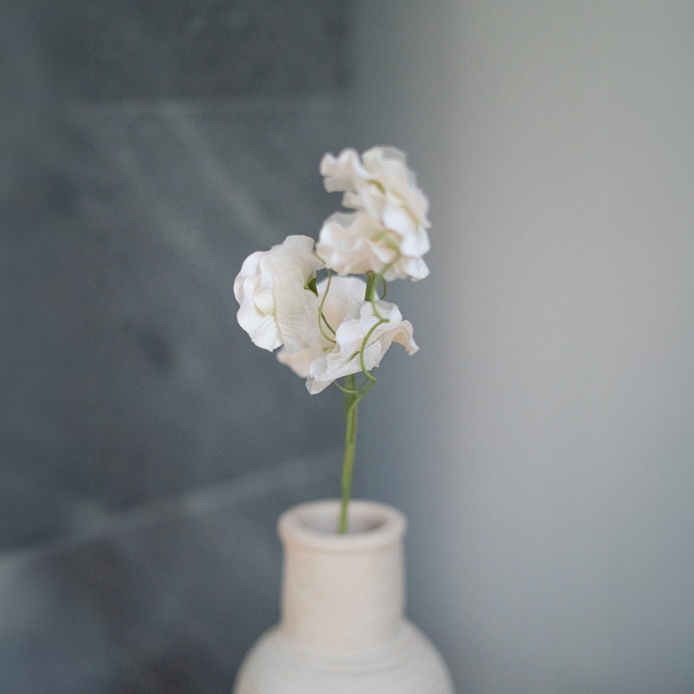 Flowrette Pois de senteur fleur papier blanc x1 sans entretien