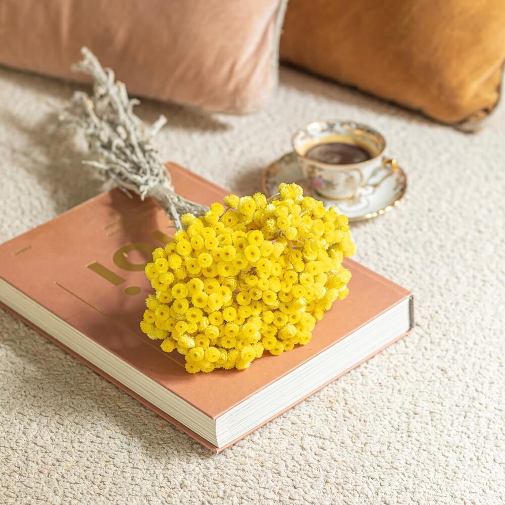 Flowrette botte immortelle jaune x1 fleur séchée