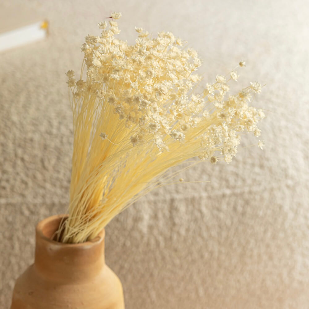 Flowrette Glixia botte fleurs séchées blanc x1