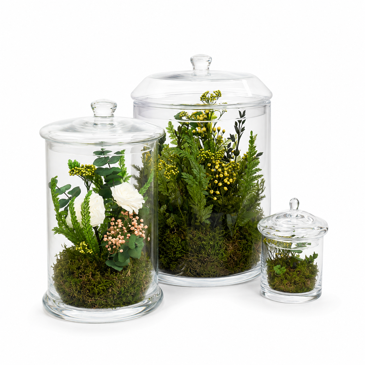 Ateliers Ouchamp Plantes terrarium stabilisé taille M sans arrosage