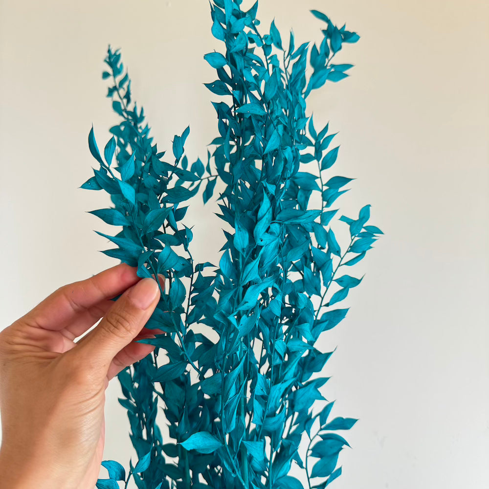 Flowrette botte ruscus turquoise séchée x1