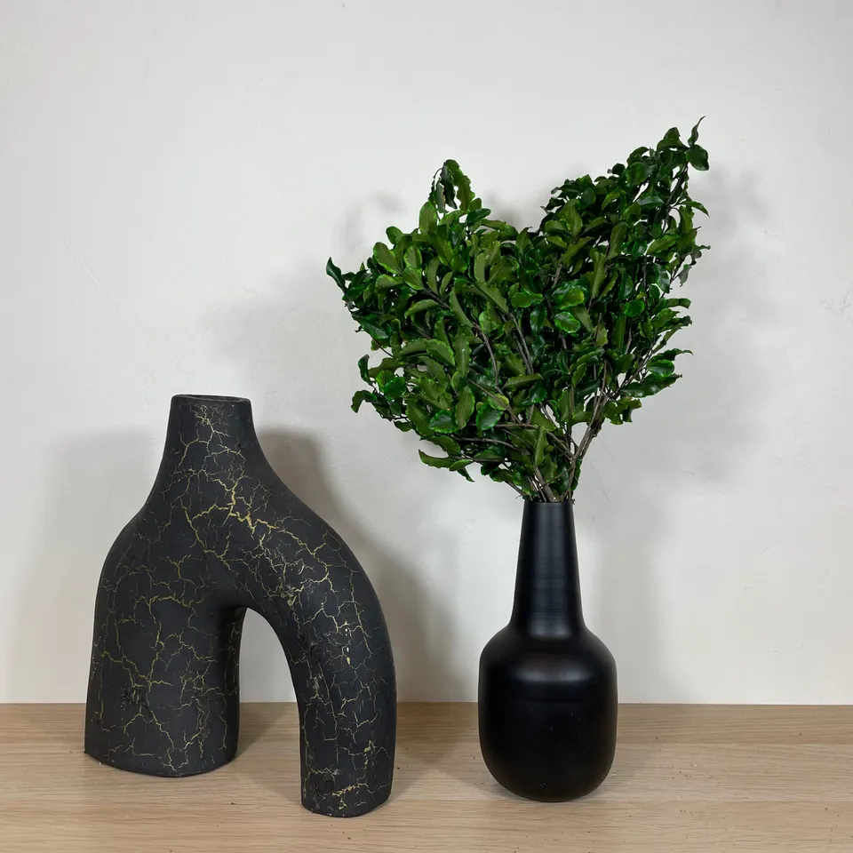 Ateliers Ouchamp Bottes Pittosporum botte feuillage vert 30 cm