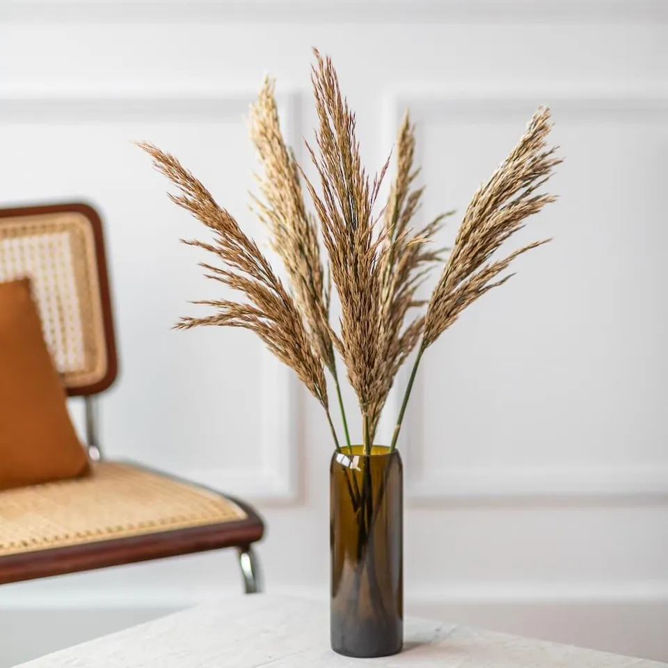 Flowrette botte petites pampas séchées naturelles x1