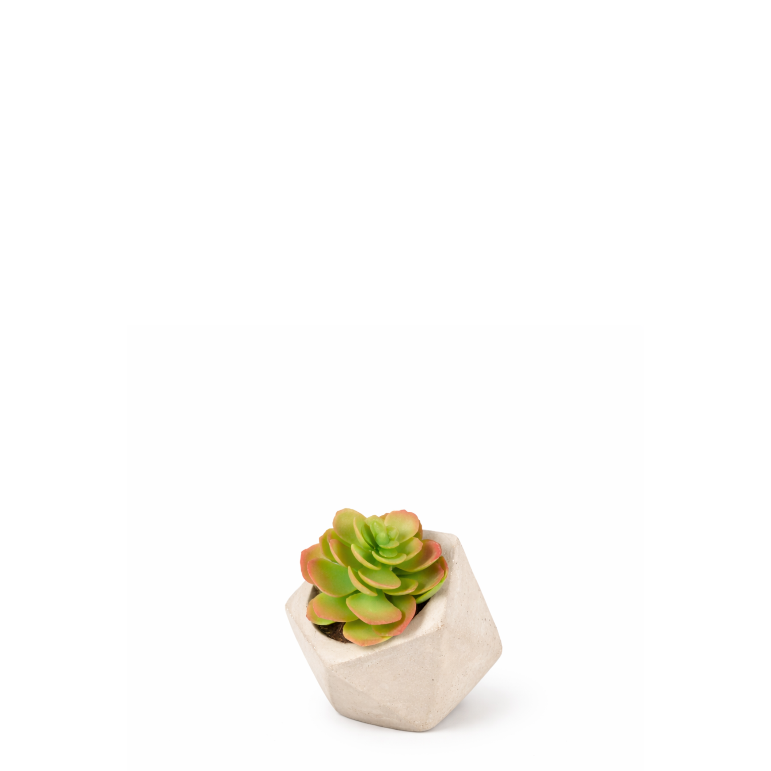 Sia Home Echeveria succulente artificielle pot vert