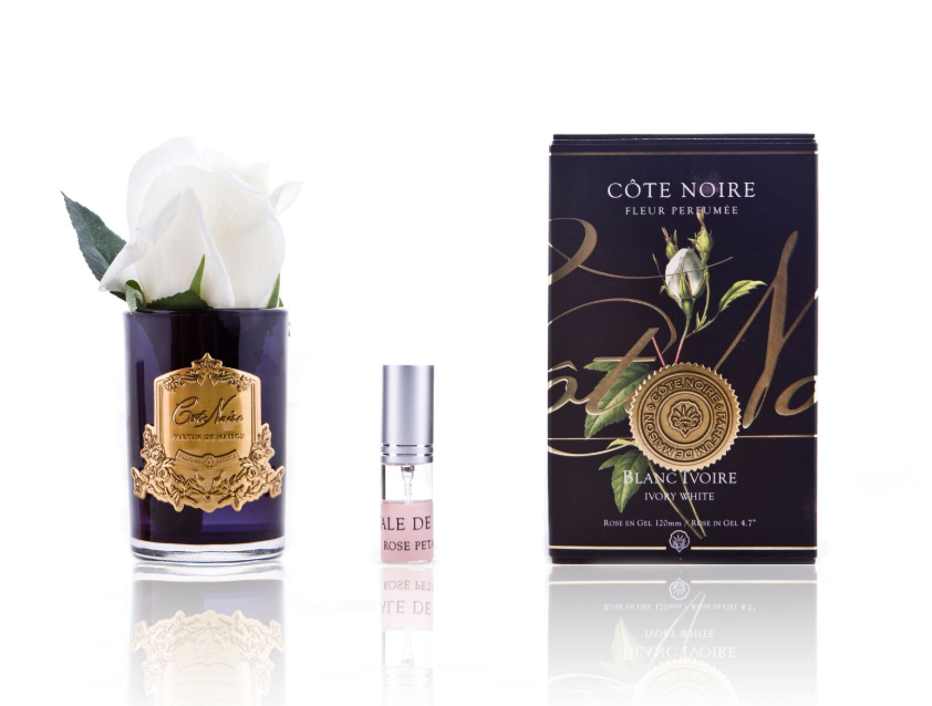 Côte Noire bouton rose ivoire vase noir GMRB41