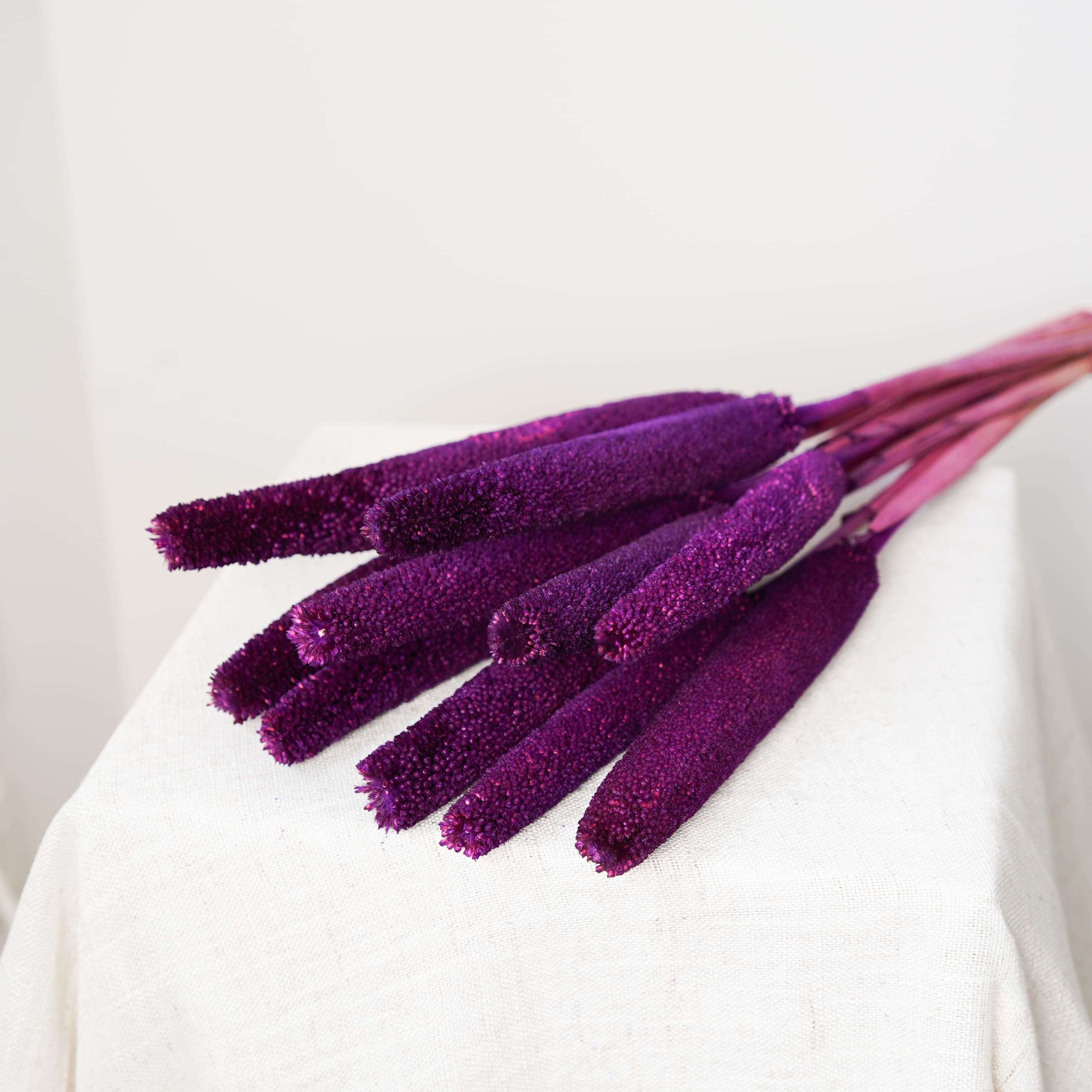 Flowrette Babala fleurs séchées violet lot 10 tiges