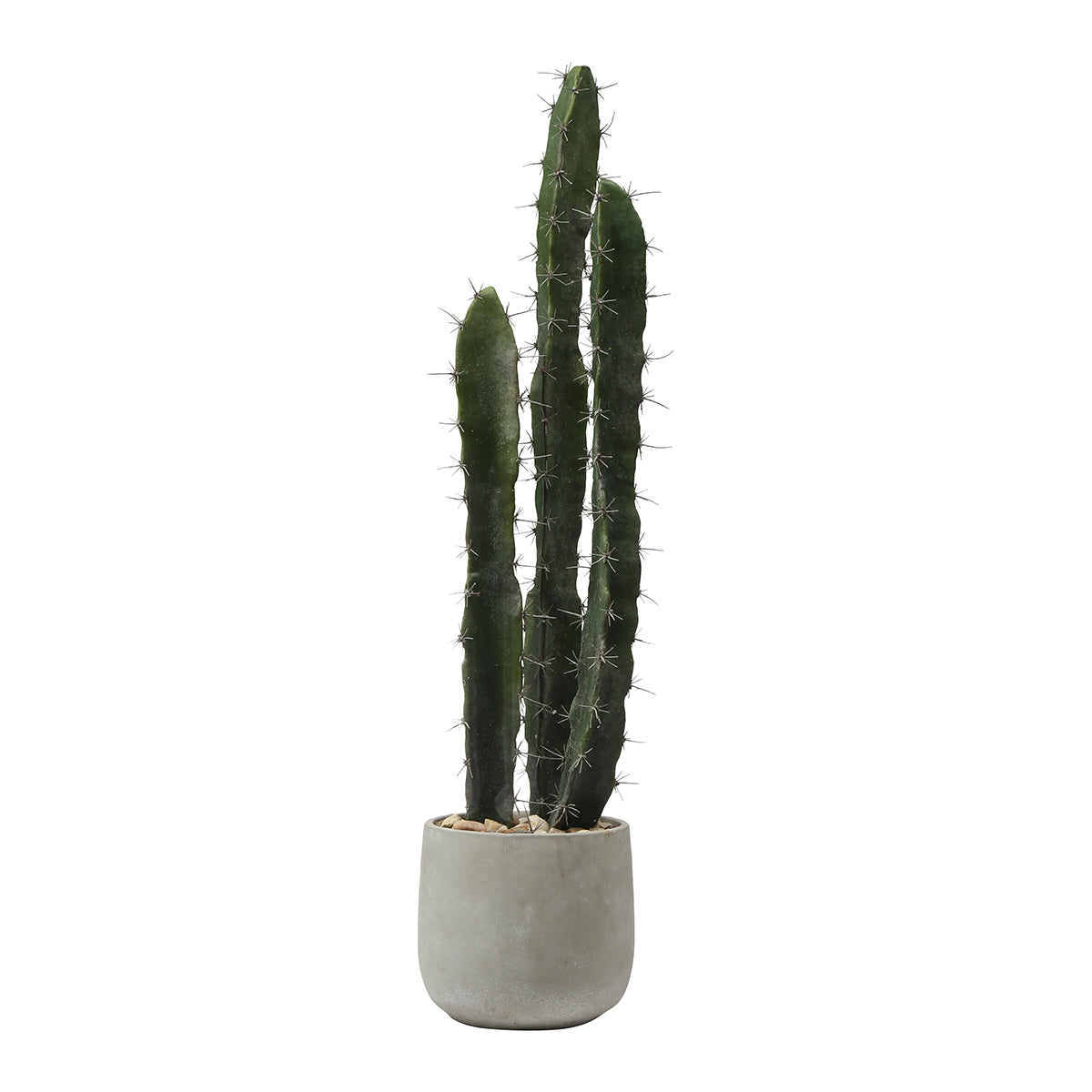 Sia Home Plantes en Pot Cactus 80 cm plante verte pot gris