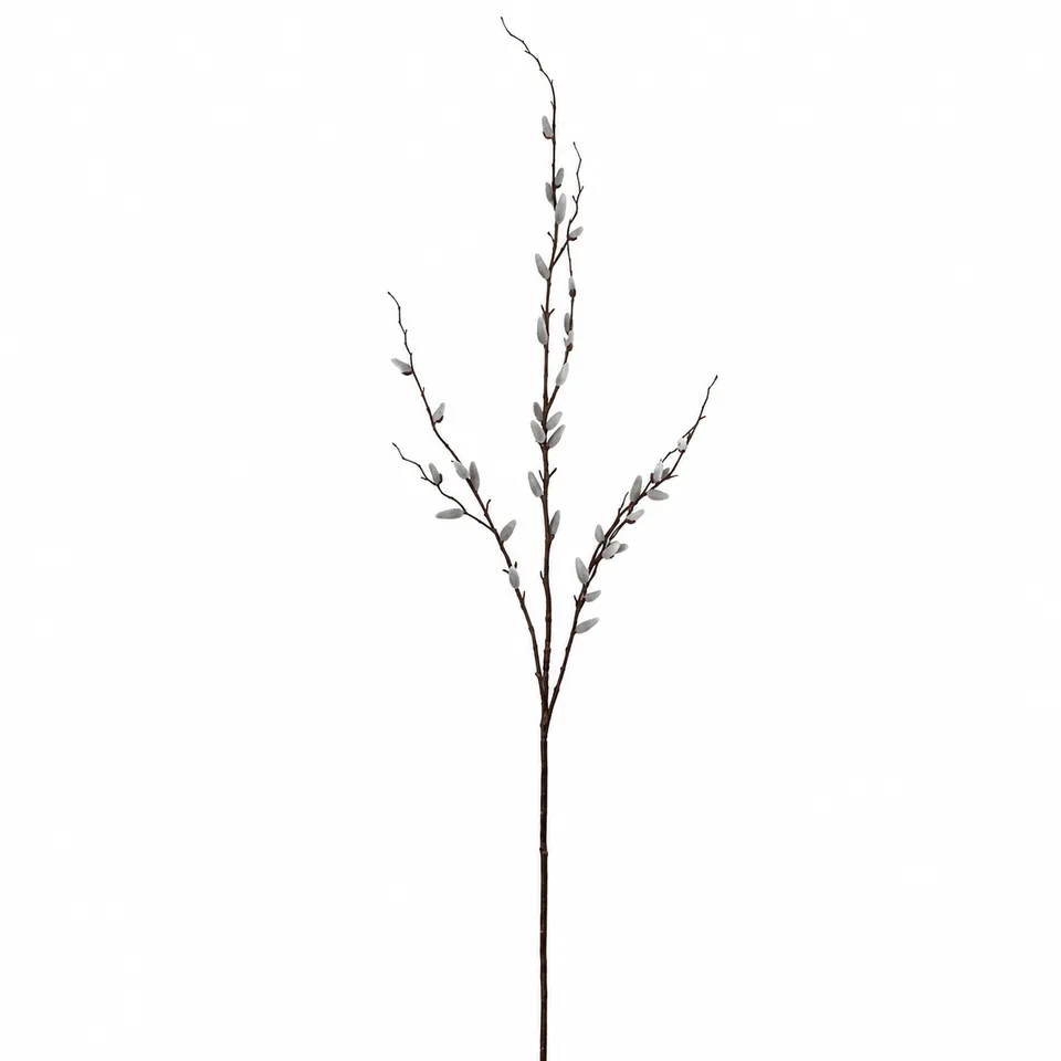 Sia Home Branche de Saule 155 cm branche artificielle crème