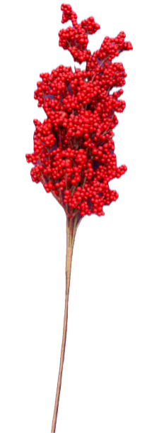 Feuillazur Rungis Produits de saison branche de baies rouge 46 cm