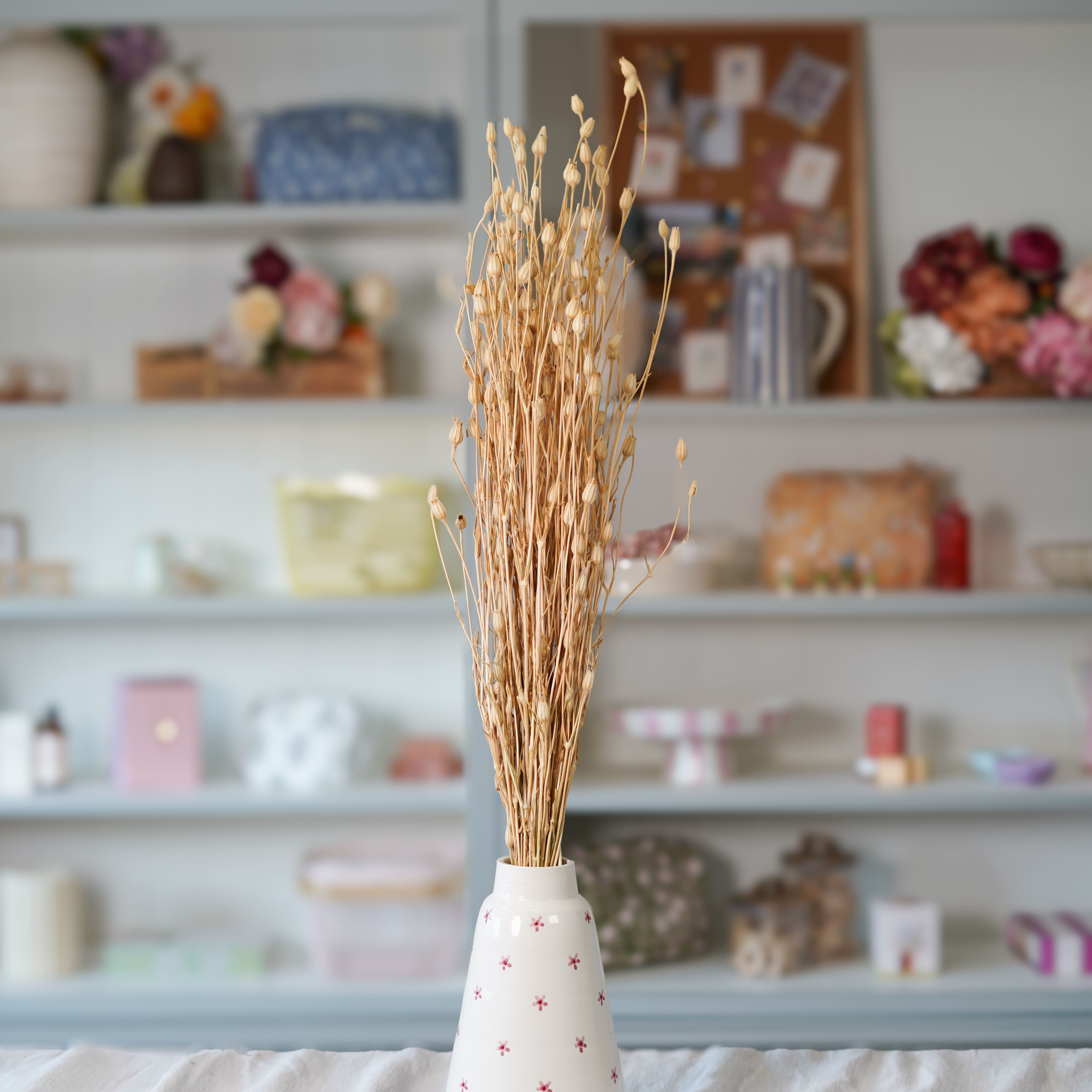 Flowrette Silène naturel botte fleurs séchées x1 beige
