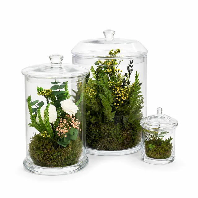 Ateliers Ouchamp Plantes terrarium stabilisé taille M sans arrosage