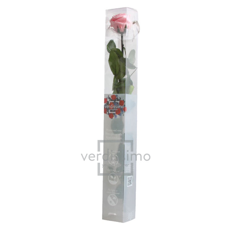 Feuillazur Rungis Séchés et Stabilisés rose stabilisée rouge 54 cm
