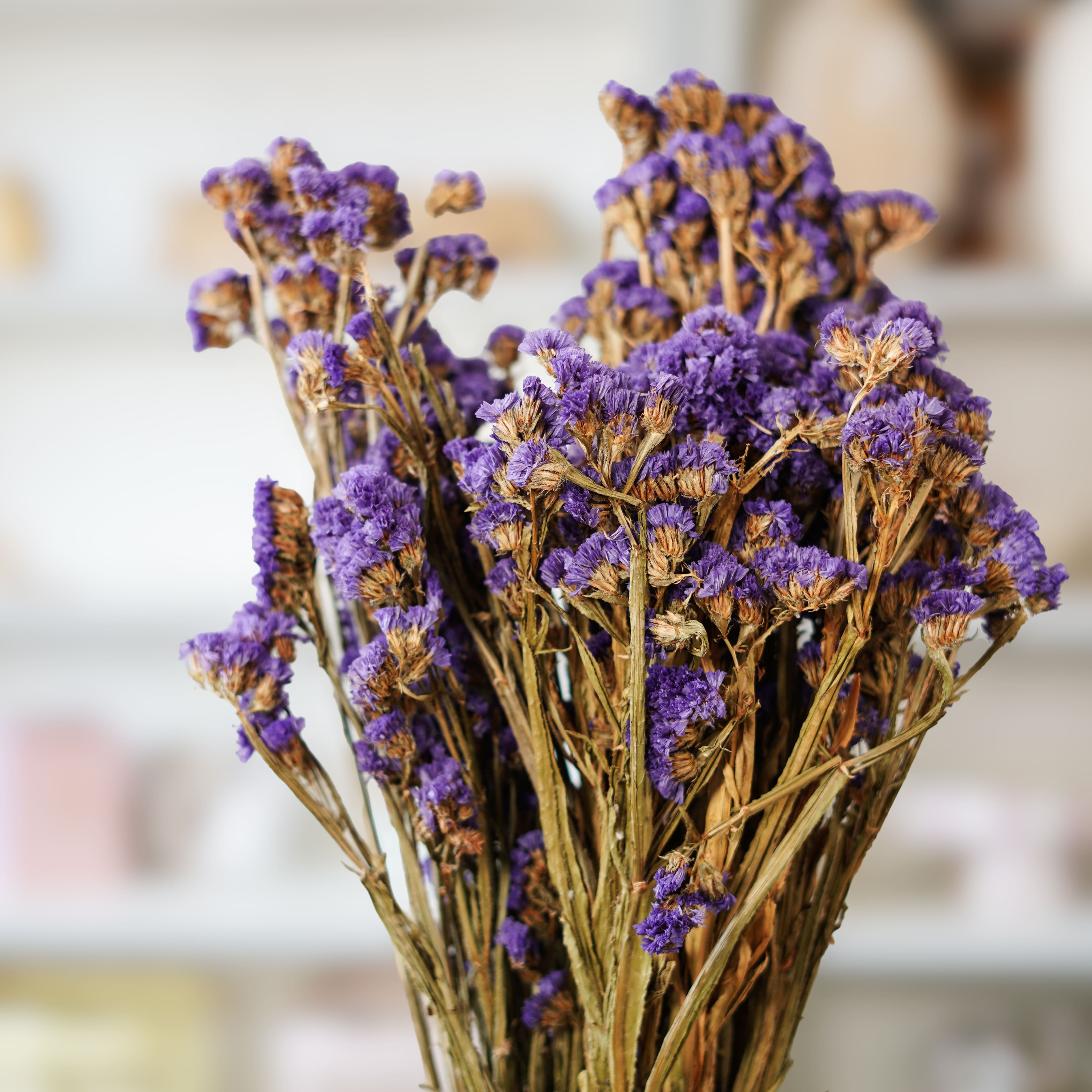 Flowrette statice sinuata botte séchée violet x1