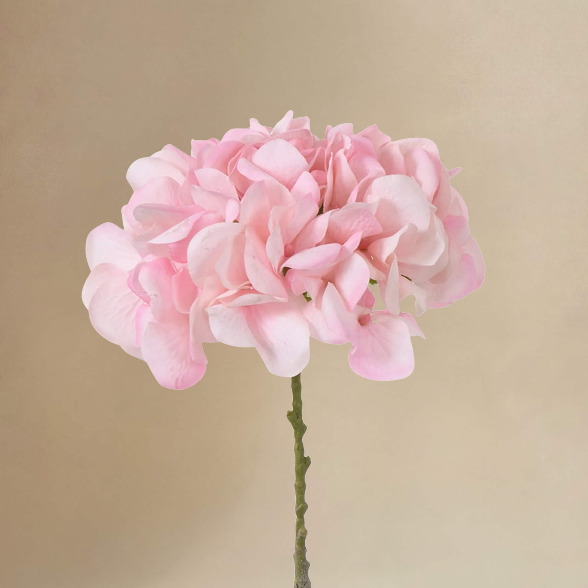 Sia Home Hortensia 63 cm bouquet artificiel rose