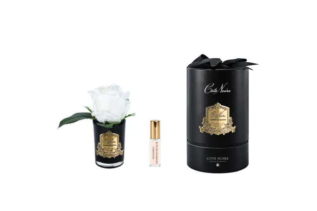 Côte Noire Perfumed Flowers RMRB41 rose blanche vase noir