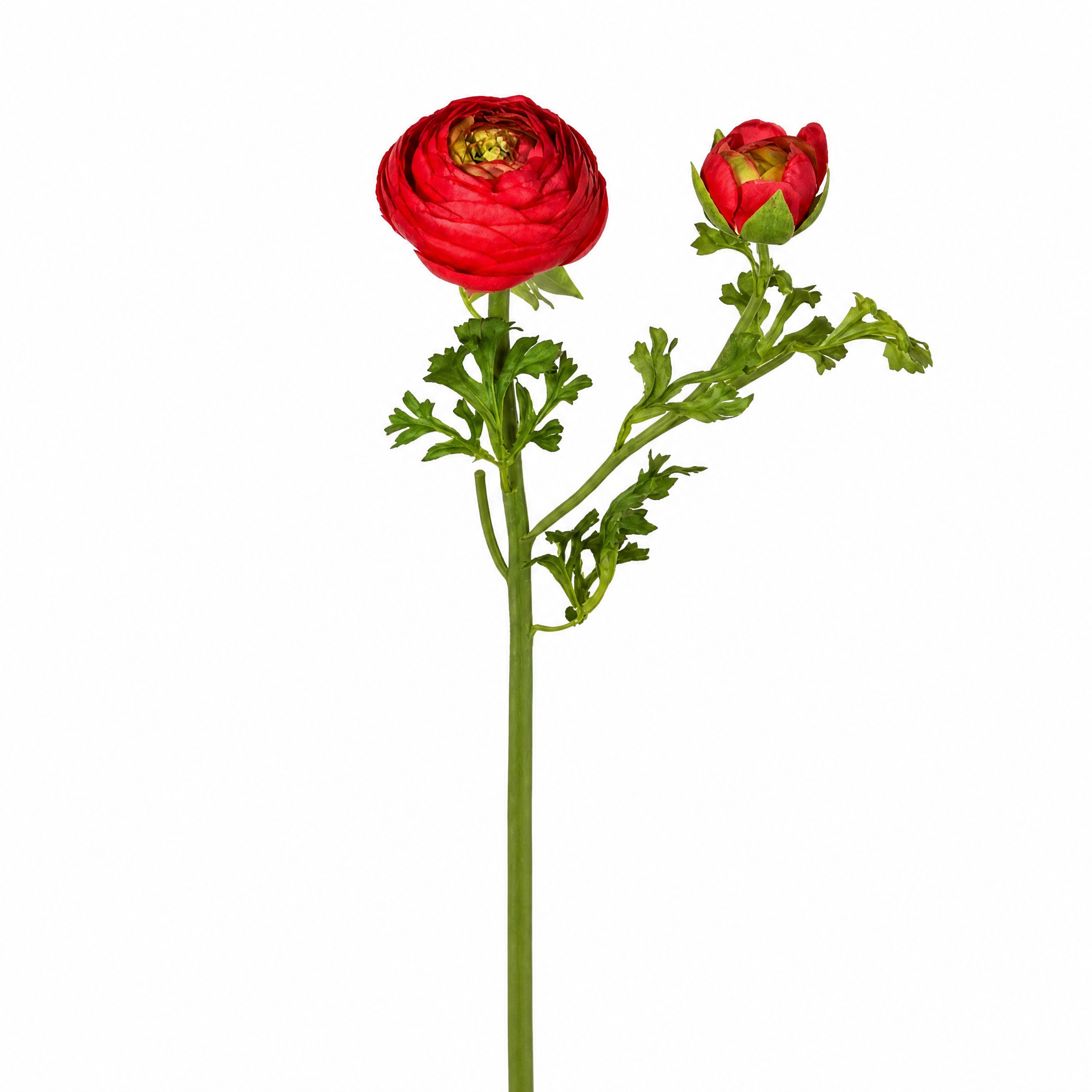 Sia Home Renoncule Premium tige artificielle rouge 56 cm