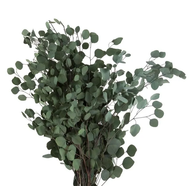 Feuillazur Rungis Eucalyptus Populus stabilisé vert 80cm