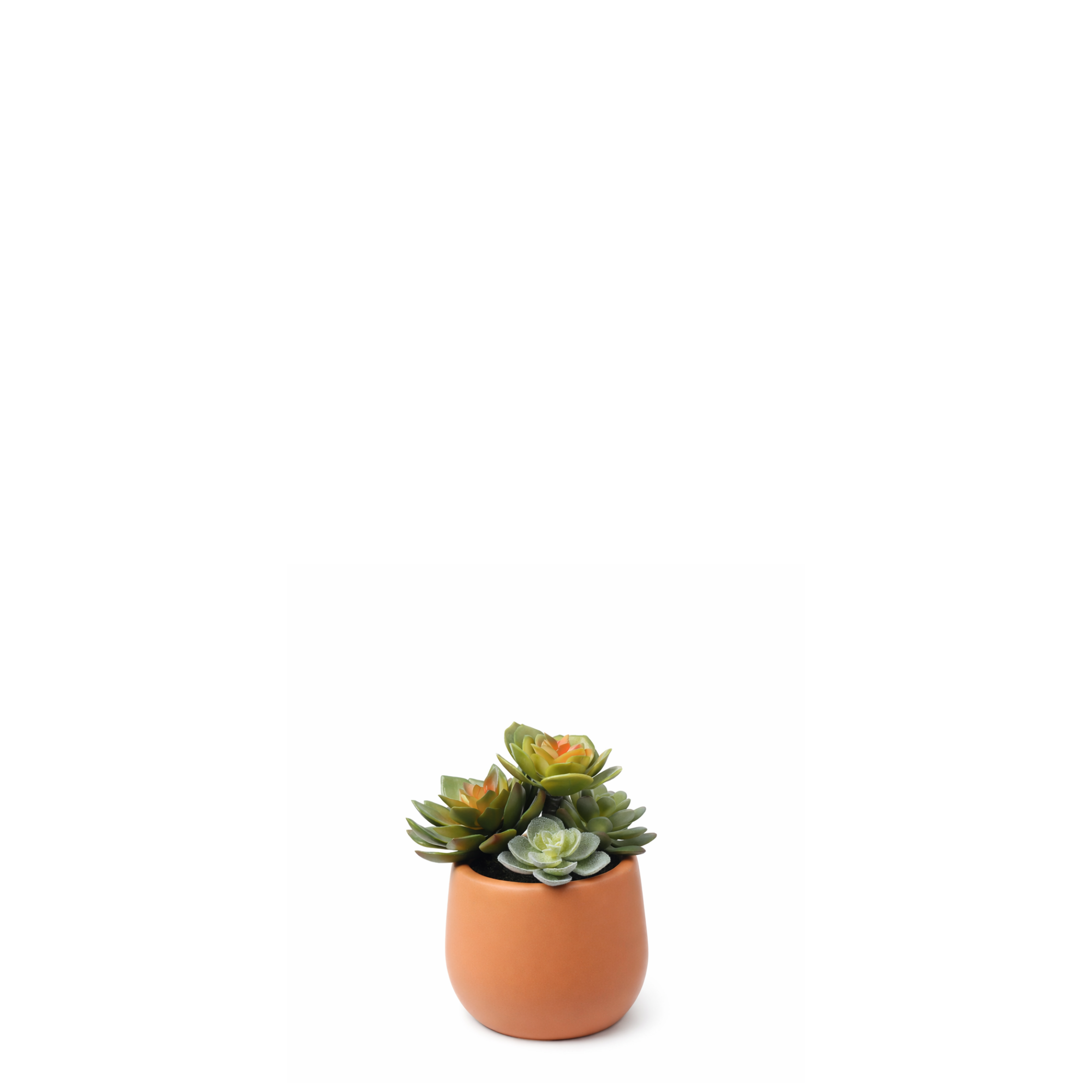 Sia Home Succulente plante artificielle vert pot 7 cm