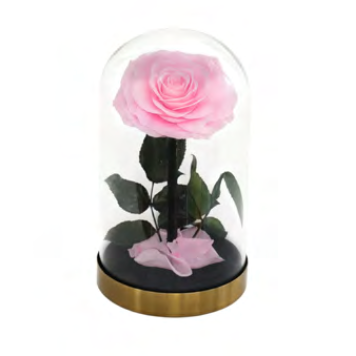 Feuillazur Rungis rose stabilisée sous cloche rouge 14x23 cm