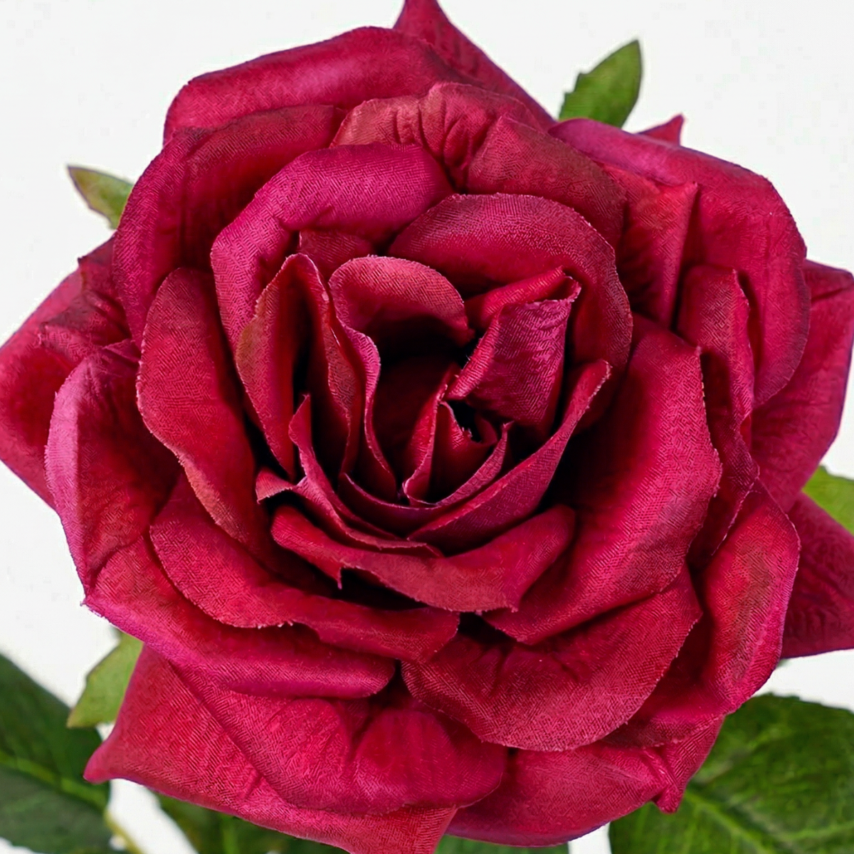 Sia Rose Premium tige artificielle framboise 50 cm