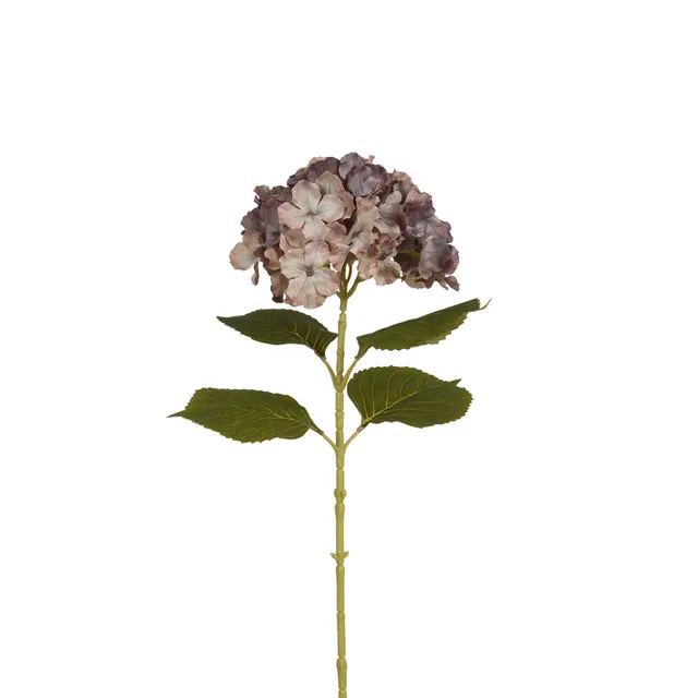 Sia Home Hortensia 68 cm fleur artificielle marron