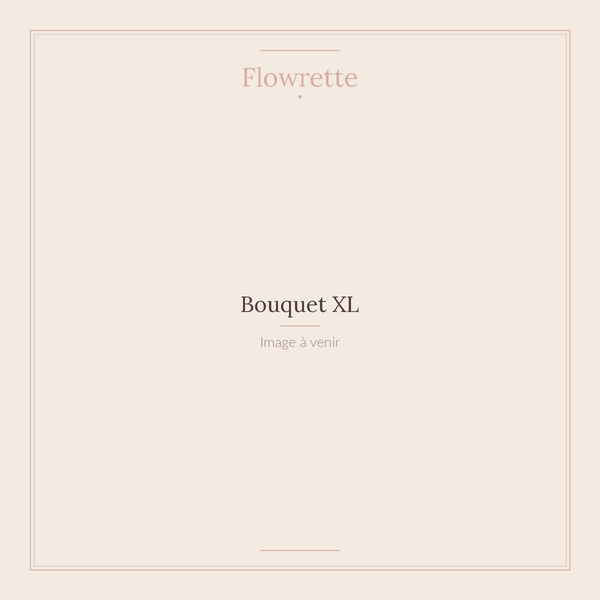 Flowrette XL bouquet fleurs séchées et stabilisées grand format