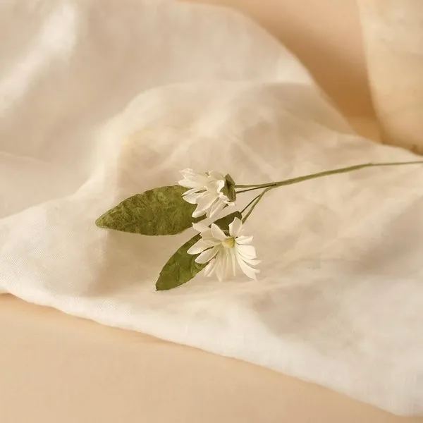 Flowrette Fleurs en papier Wild Marguerites fleur blanche