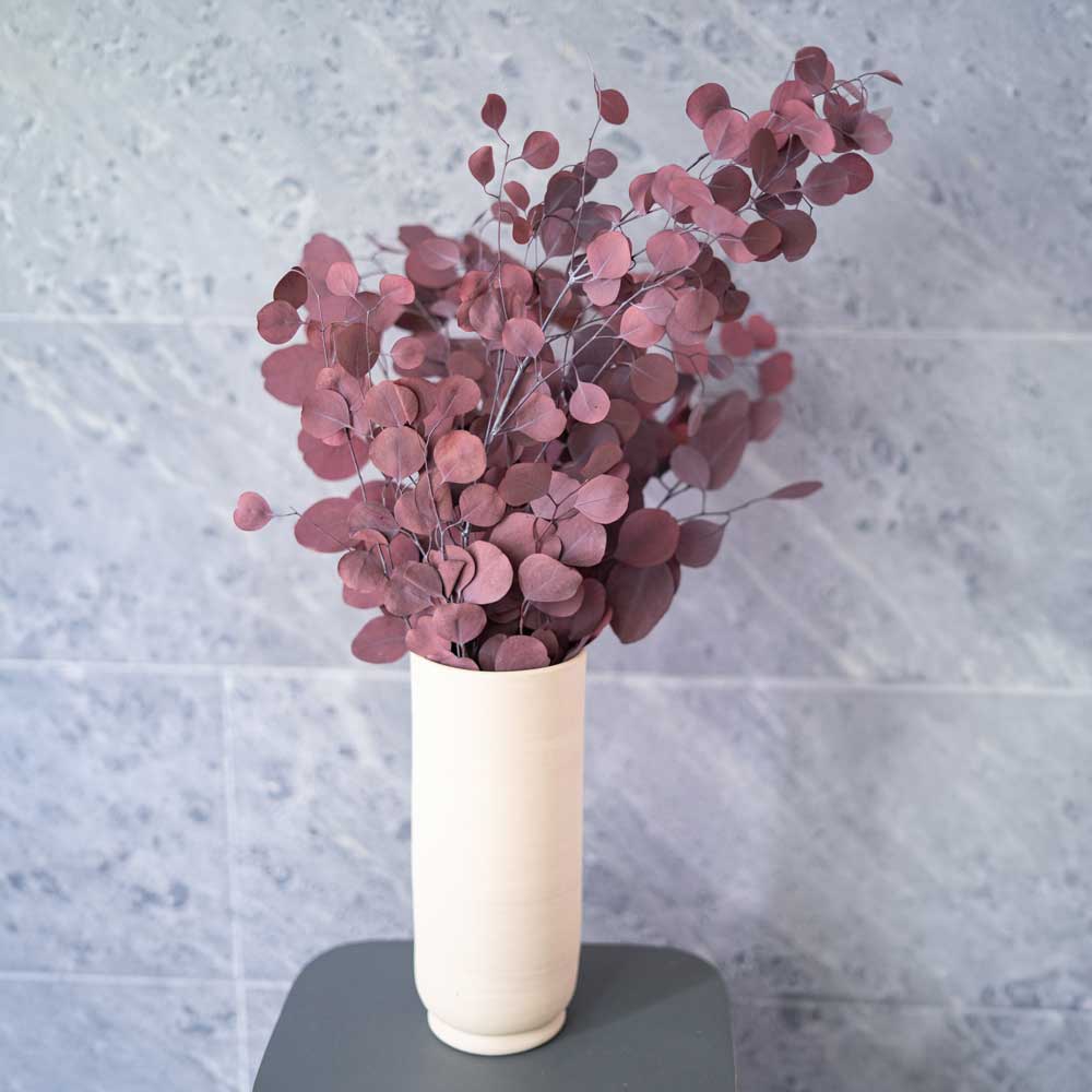 Flowrette Eucalyptus Populus Bordeaux botte stabilisée