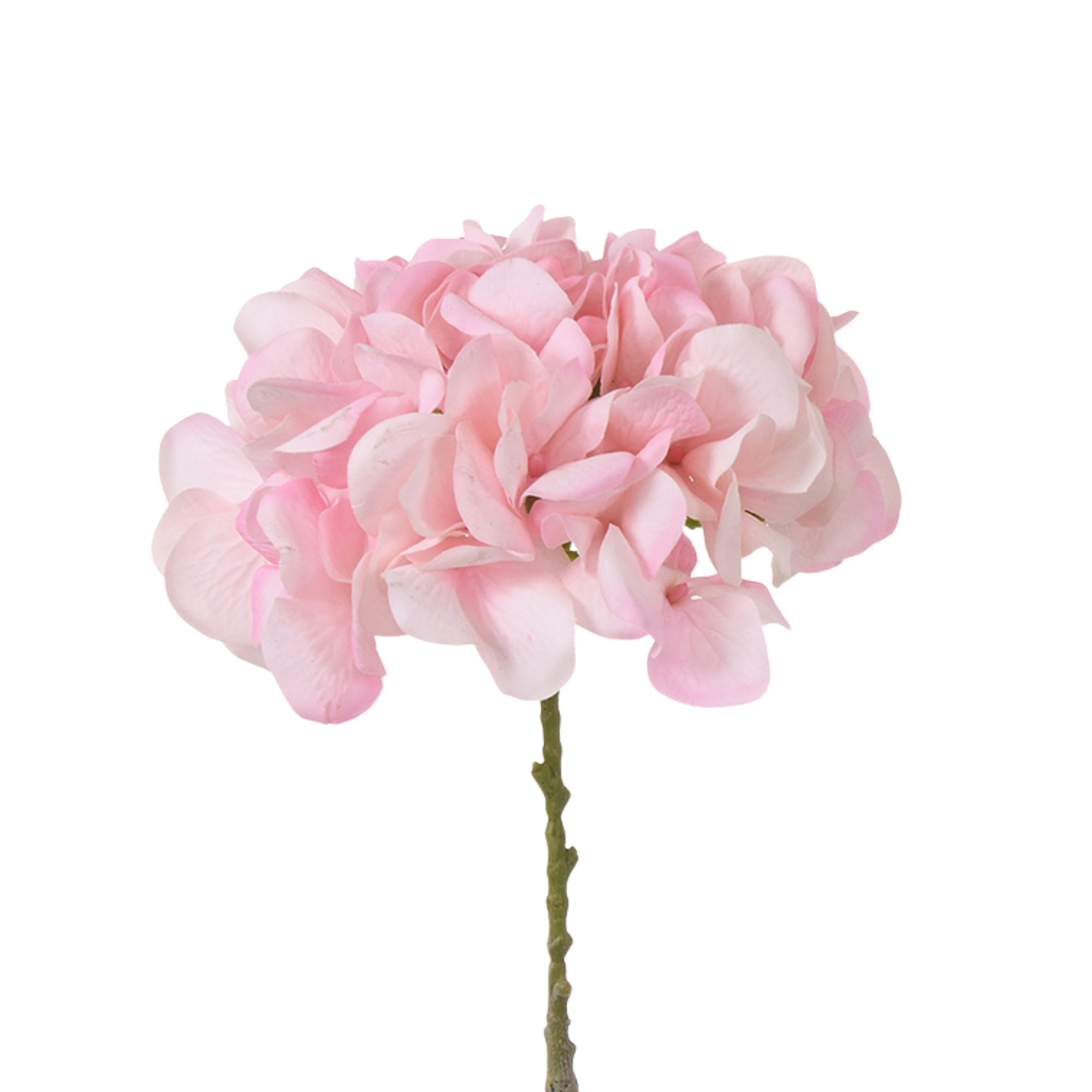 Sia Home Tiges Hortensia 63 cm fleur artificielle vert