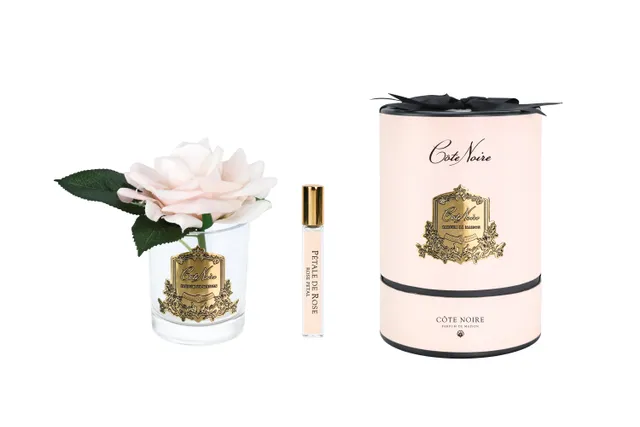 Côte Noire Perfumed Flowers RMR15 rose champagne vase verre
