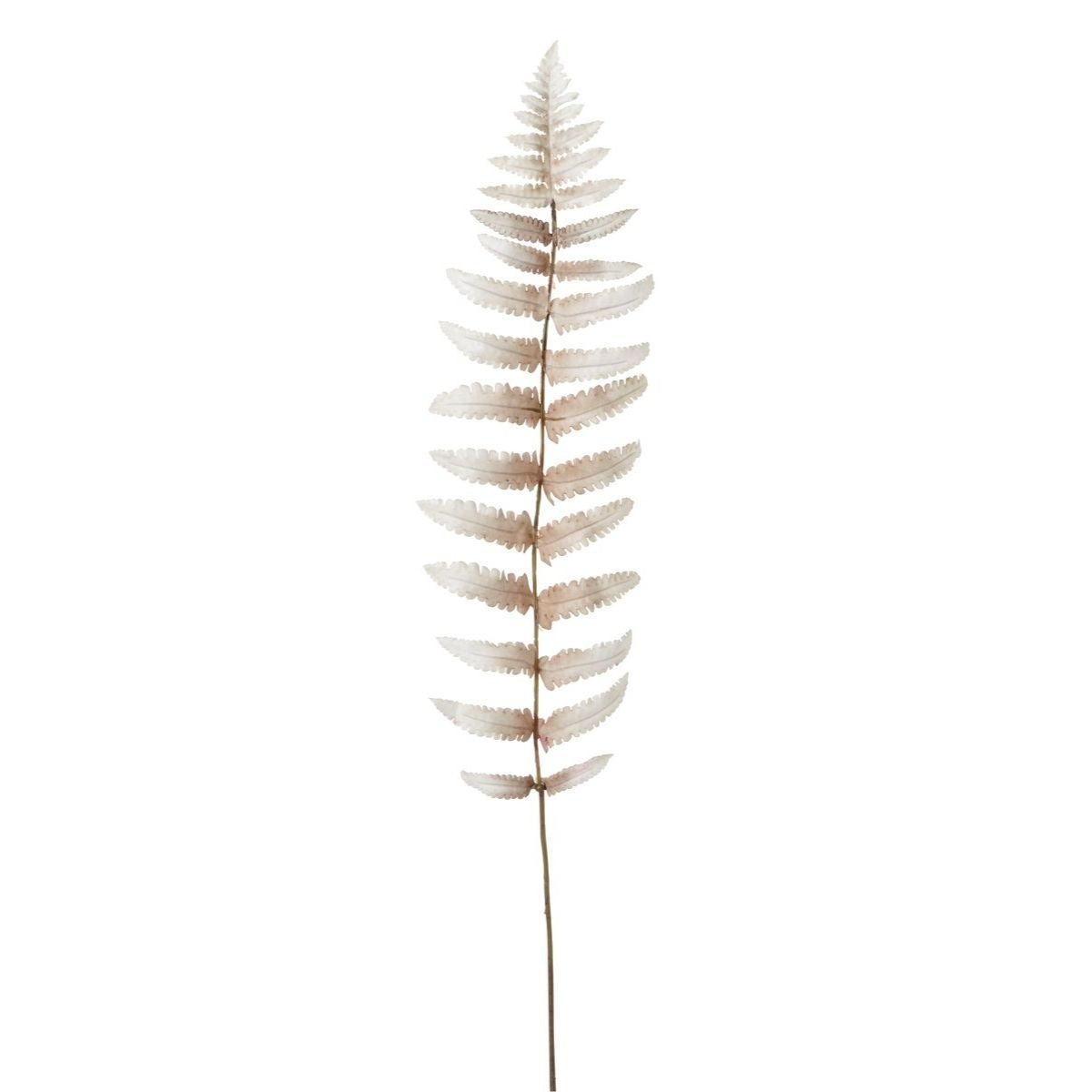 Sia Home Fougère Métallique 70 cm feuillage artificiel marron gris