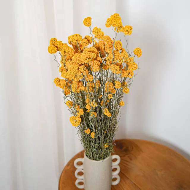 Flowrette Sanfordii botte fleurs séchées jaune x1 lumineuse