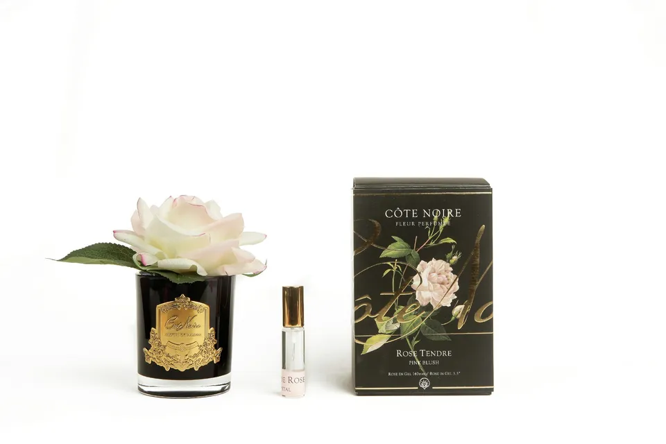 Côte Noire Perfumed GMRB02 rose artificielle pink blush vase noir