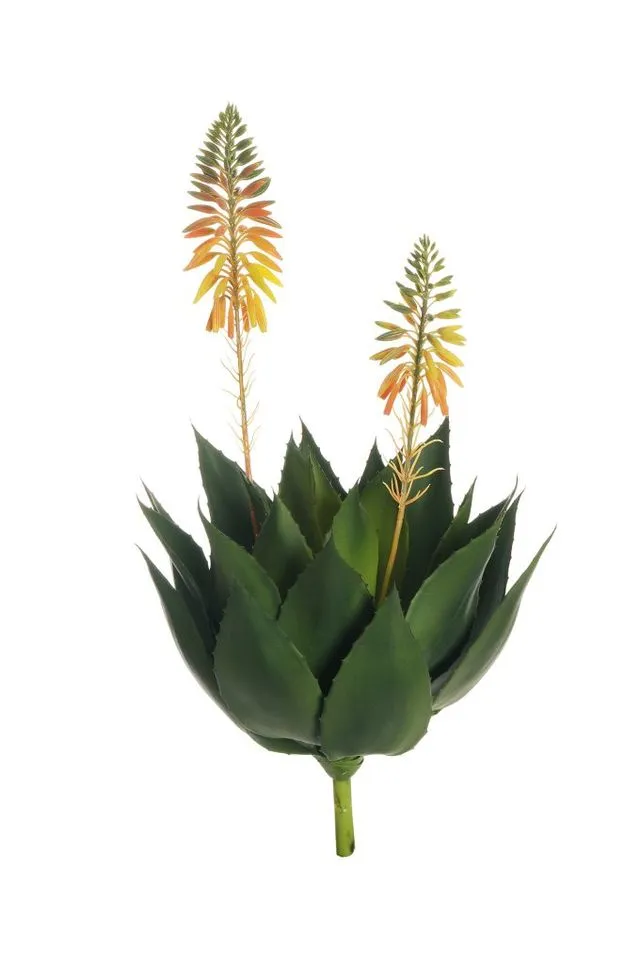 Feuillazur Rungis Agave feuillage artificiel vert 54cm