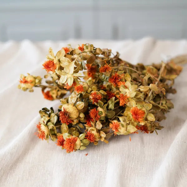 Flowrette Carthame botte fleurs séchées orange