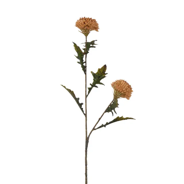 Sia Home Tige Chardon fleur artificielle orange 78 cm