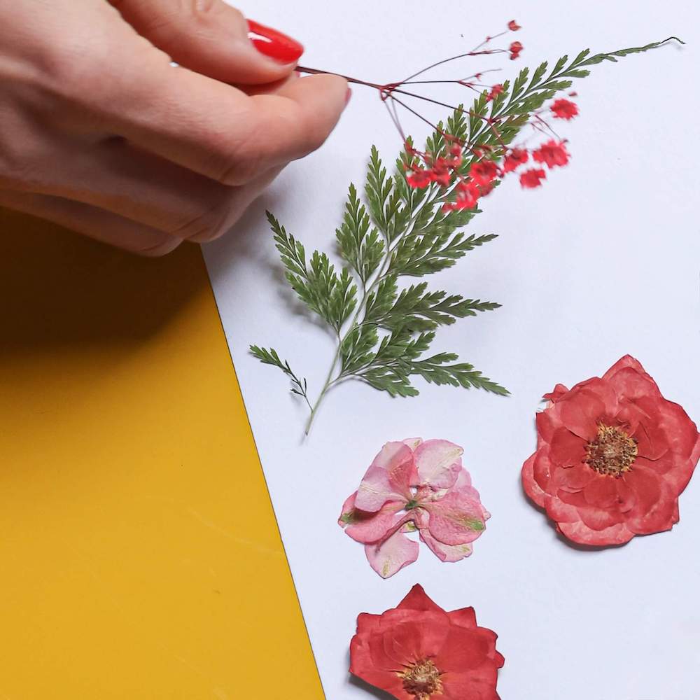 Flowrette pochette fleurs pressées rouges kit DIY