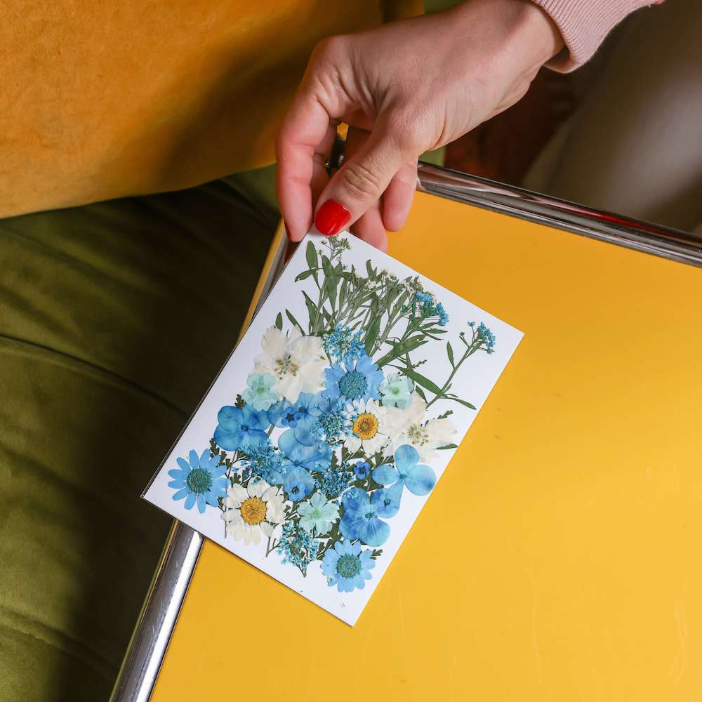 Flowrette pochette fleurs pressées bleues kit herbier